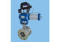 Válvula de control rotatoria excéntrica del enchufe DN25mm~ 300m m ningún sello dinámico del sello estático proveedor